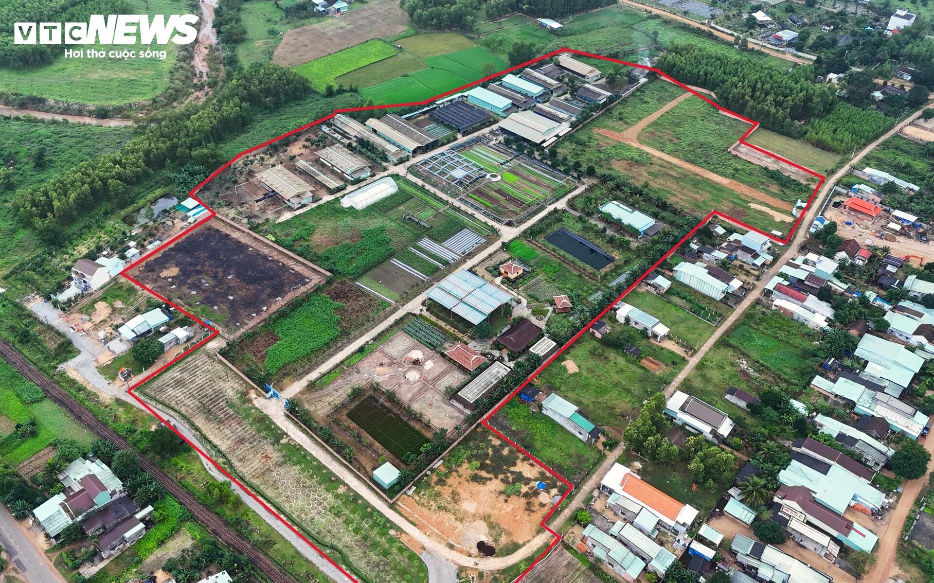 Dự án rau an toàn tại Bình Định: Sai phạm nghiêm trọng và những hoạt động trái phép - Ảnh 1.