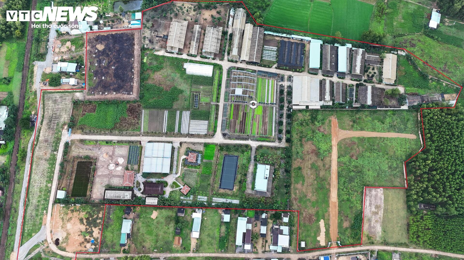 Dự án rau an toàn tại Bình Định: Sai phạm nghiêm trọng và những hoạt động trái phép - Ảnh 2.