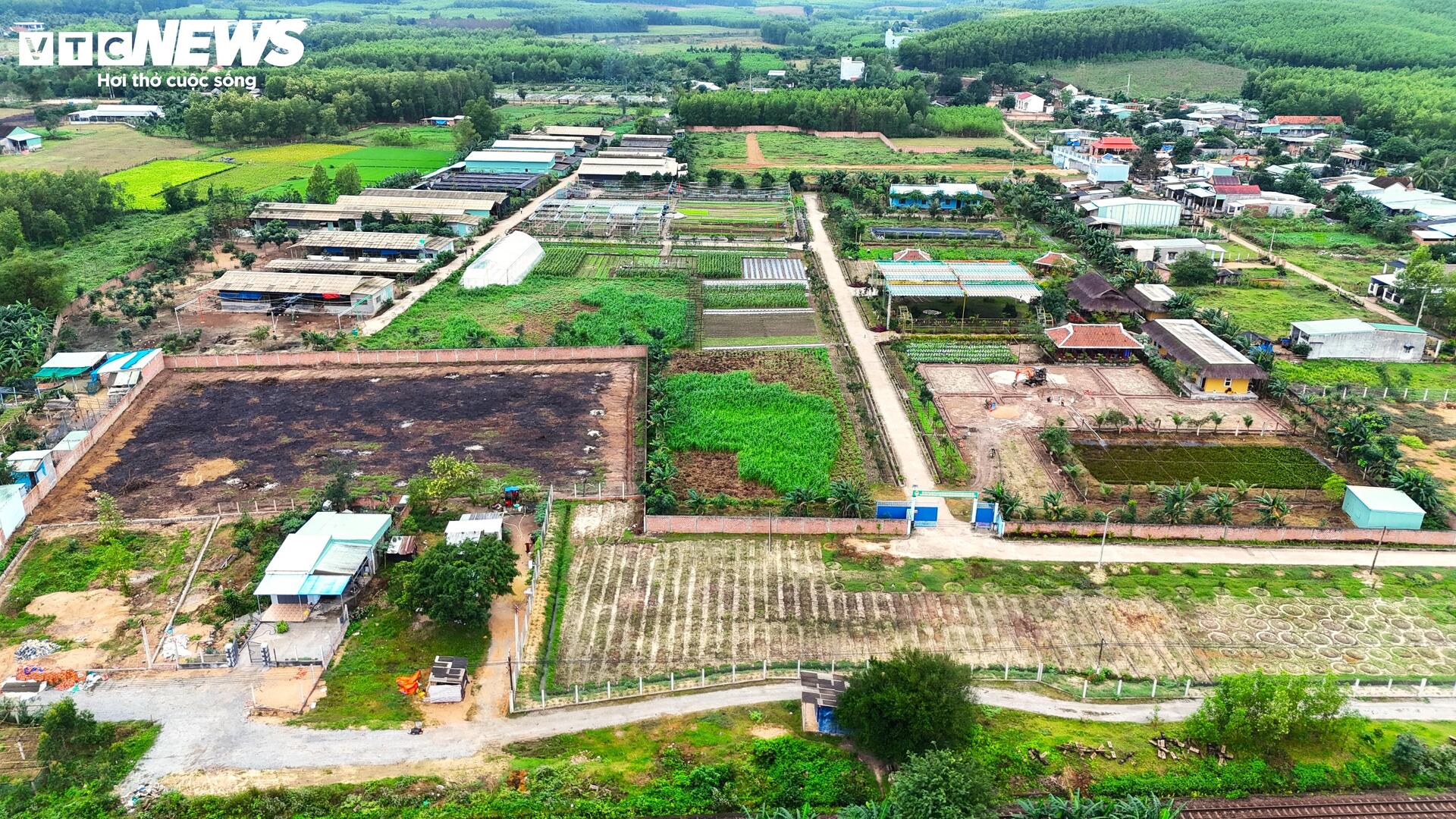 Dự án rau an toàn tại Bình Định: Sai phạm nghiêm trọng và những hoạt động trái phép - Ảnh 11.