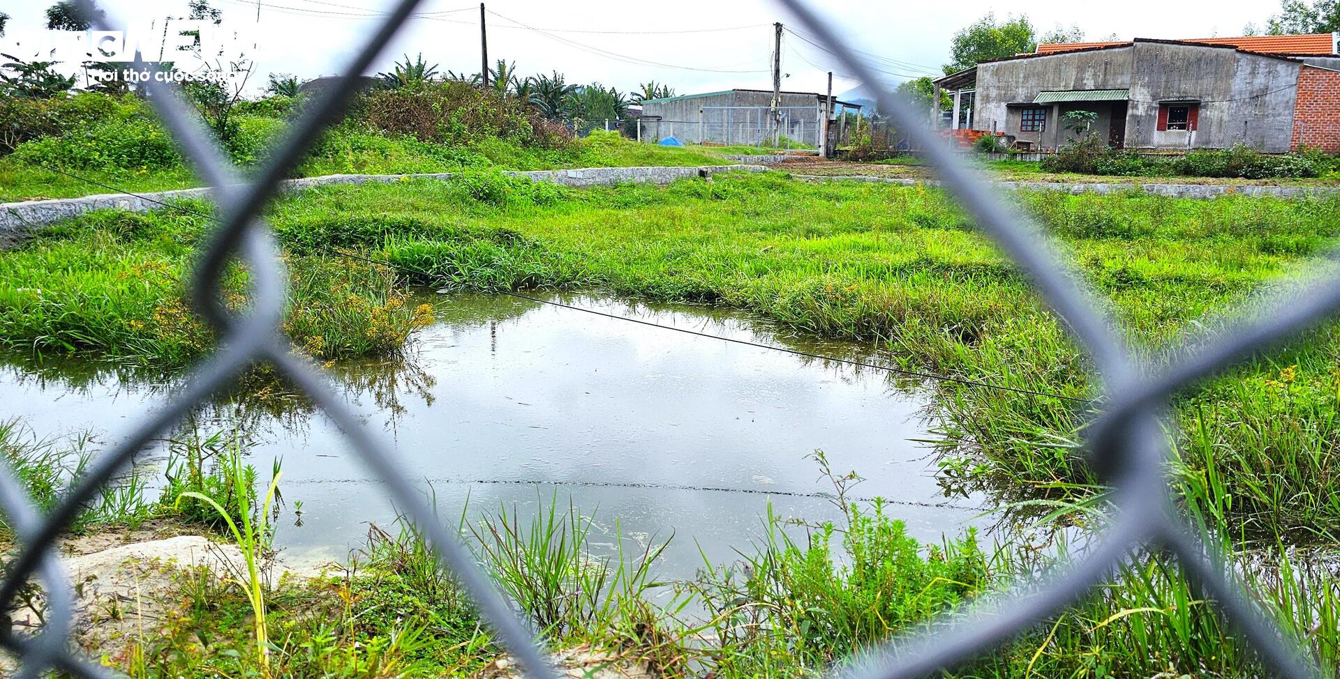 Dự án rau an toàn tại Bình Định: Sai phạm nghiêm trọng và những hoạt động trái phép - Ảnh 7.