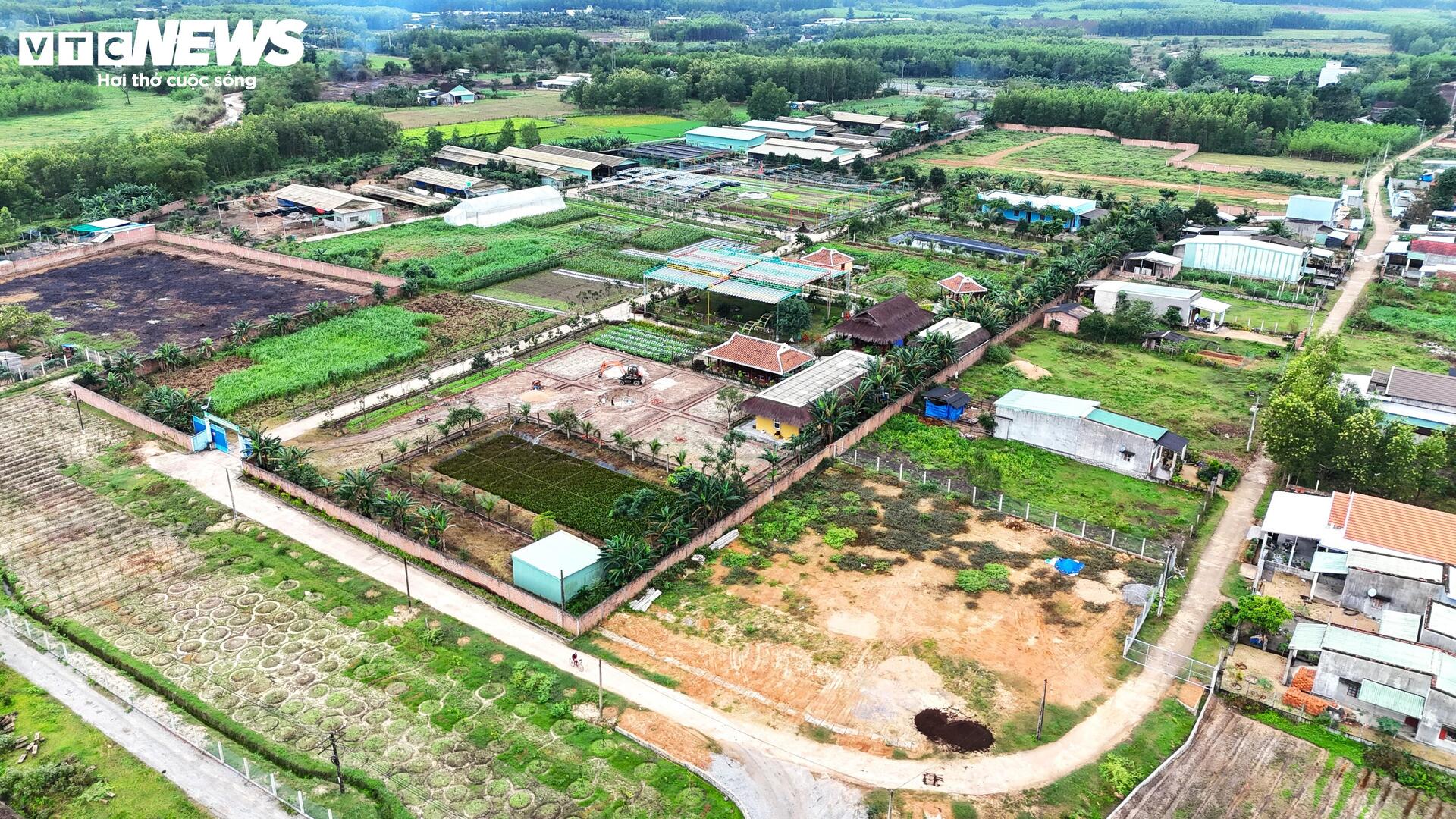 Dự án rau an toàn tại Bình Định: Sai phạm nghiêm trọng và những hoạt động trái phép - Ảnh 10.