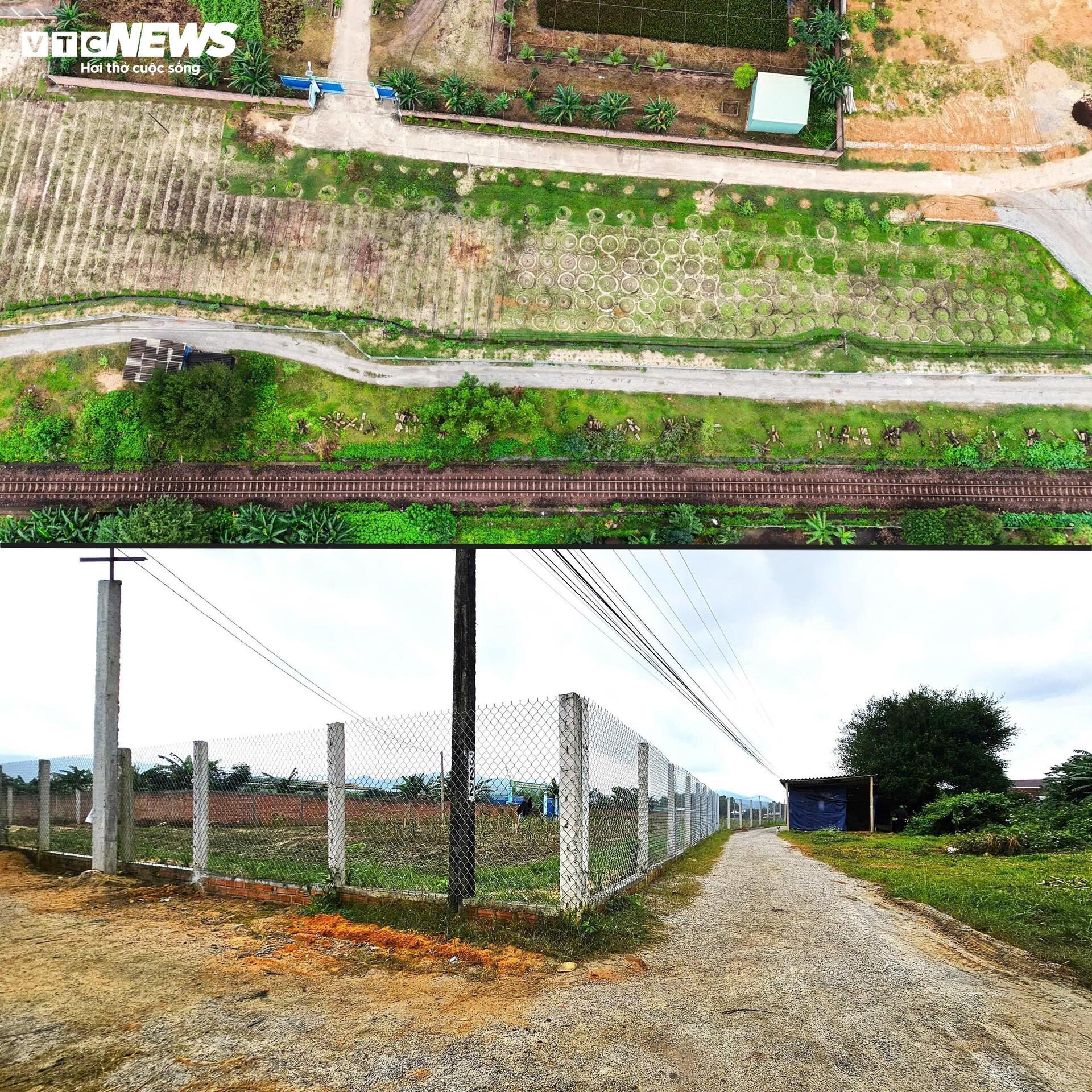 Dự án rau an toàn tại Bình Định: Sai phạm nghiêm trọng và những hoạt động trái phép - Ảnh 5.