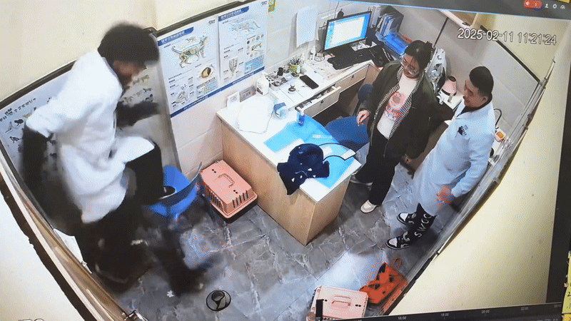 Nếu kh&ocirc;ng c&oacute; camera th&igrave; kh&ocirc;ng ph&aacute;n được điều g&igrave;: Cứ bảo 