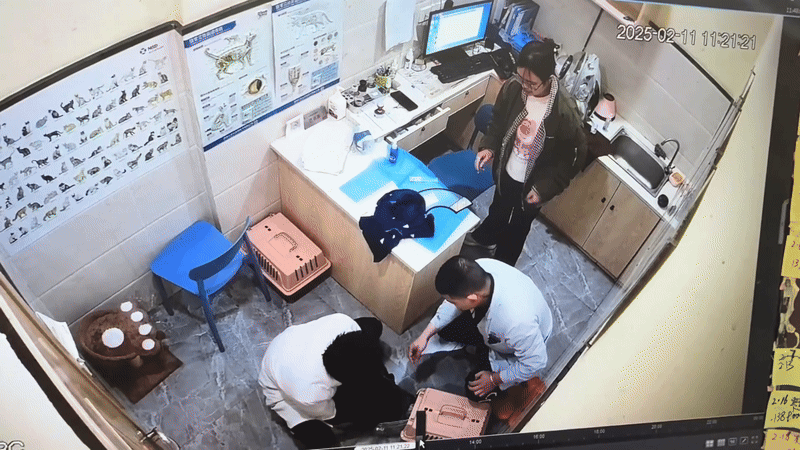 Nếu kh&ocirc;ng c&oacute; camera th&igrave; kh&ocirc;ng ph&aacute;n được điều g&igrave;: Cứ bảo 