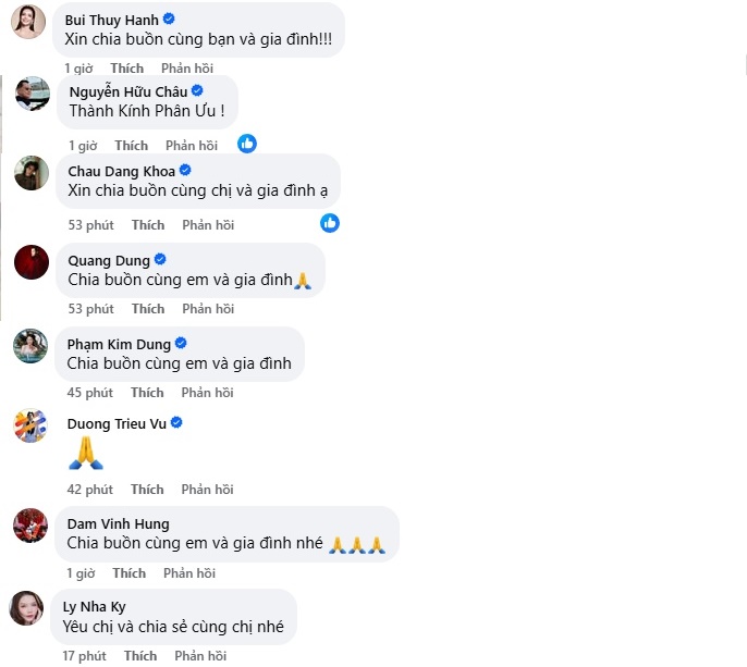 Siêu mẫu Xuân Lan báo tin tang sự, Đàm Vĩnh Hưng, Lý Nhã Kỳ và nhiều sao Việt chia buồn- Ảnh 2.