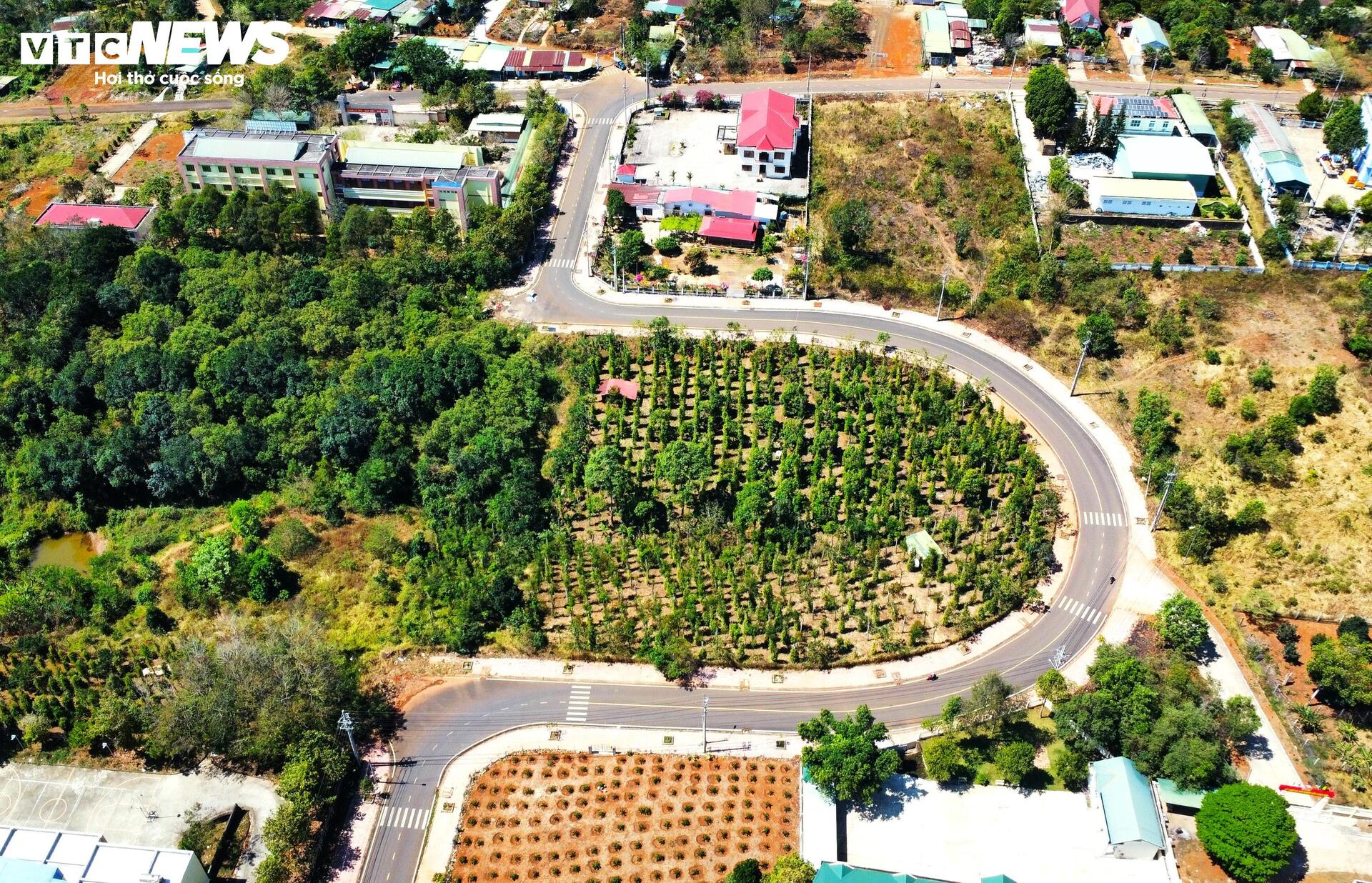 Cận cảnh nắn thẳng con đường chữ U Đắk Nông gây tranh cãi - Ảnh 7.