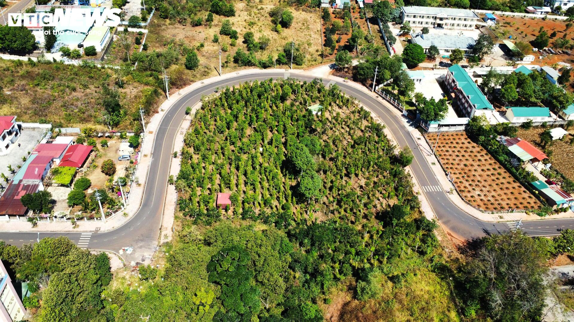 Cận cảnh nắn thẳng con đường chữ U Đắk Nông gây tranh cãi - Ảnh 3.