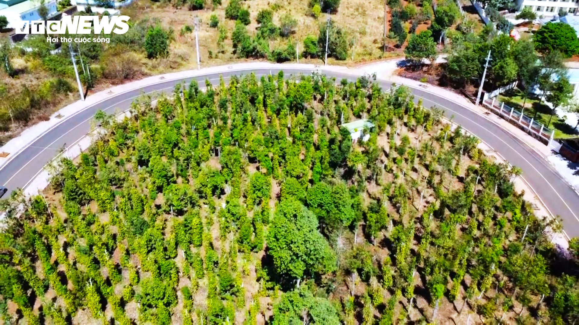 Cận cảnh nắn thẳng con đường chữ U Đắk Nông gây tranh cãi - Ảnh 5.