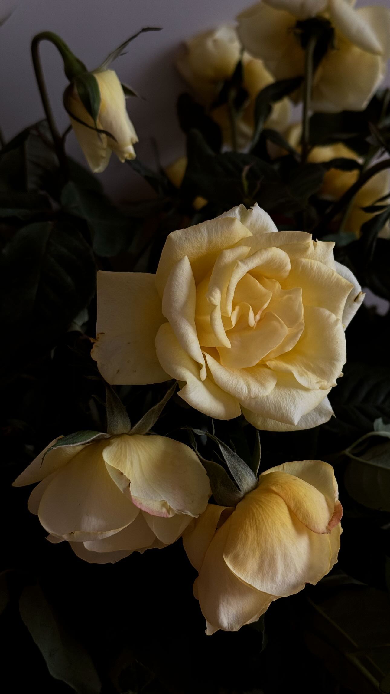 Do&atilde;n Hải My ngồi cắm hoa, netizen ph&aacute;n: "0 điểm" - Ảnh 5.