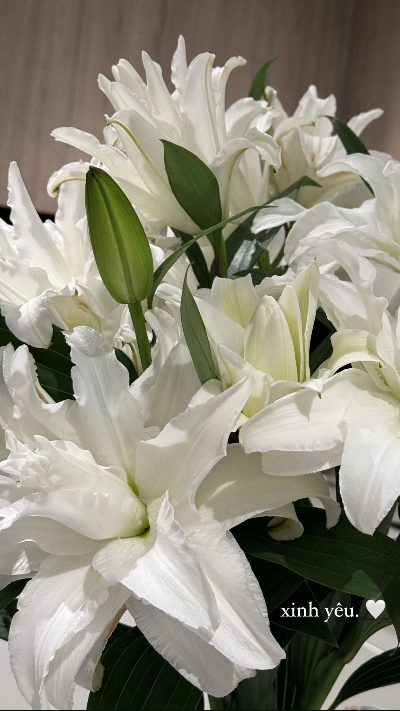 Do&atilde;n Hải My ngồi cắm hoa, netizen ph&aacute;n: "0 điểm" - Ảnh 3.