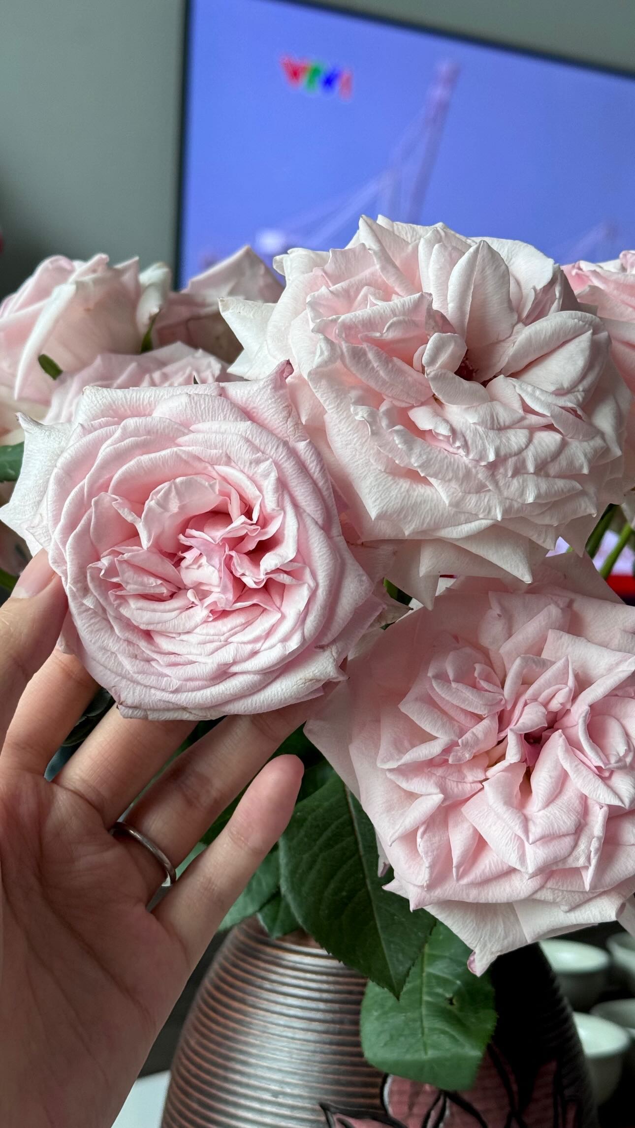 Do&atilde;n Hải My ngồi cắm hoa, netizen ph&aacute;n: "0 điểm" - Ảnh 4.