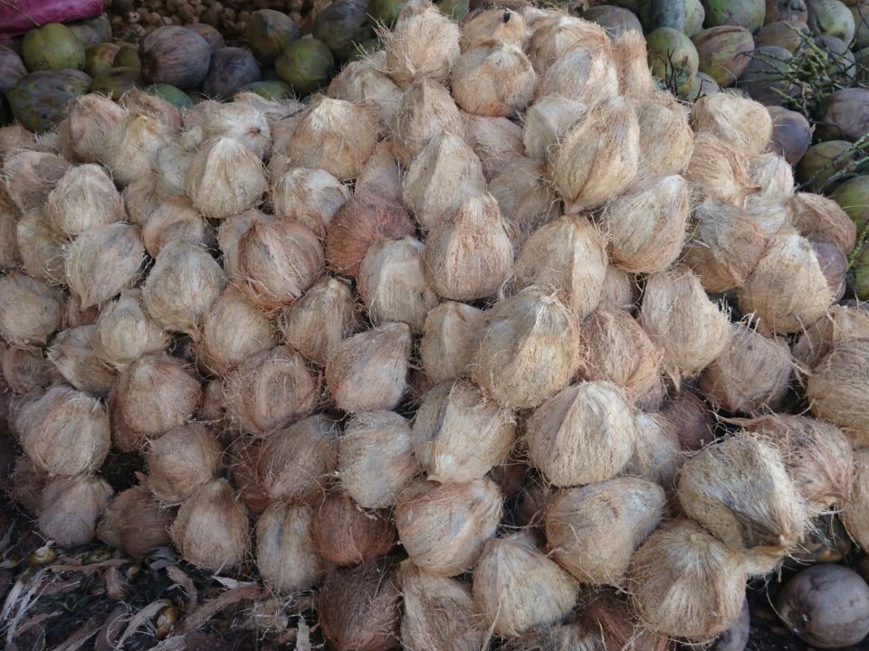 Mặt hàng siêu rẻ, bán tràn lan ngoài đường của Việt Nam có cơ hội vào quốc gia giàu bậc nhất thế giới - Ảnh 5.