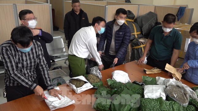 Đề nghị truy tố 14 đối tượng trong đường dây ma túy 700 kg cần sa - Ảnh 1.