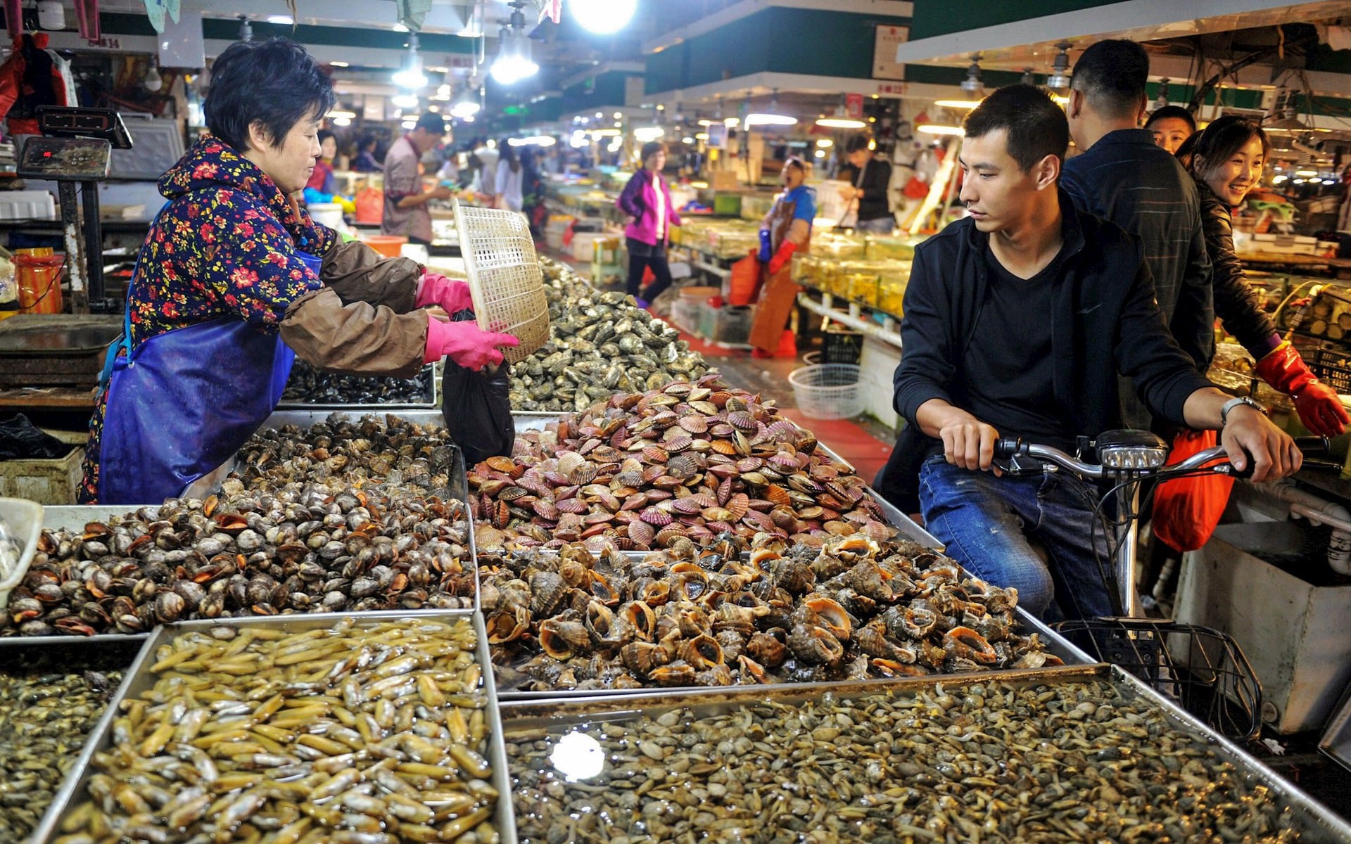 Triều Tiên thu được 16 triệu USD nhờ bán một mặt hàng cho Trung Quốc, vượt qua đối thủ Thuỵ Sĩ - Ảnh 3.