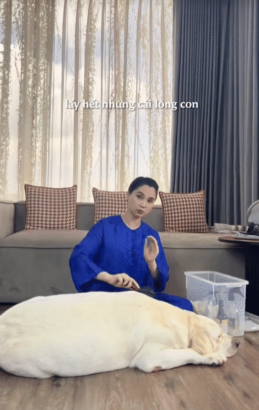 Ph&uacute; b&agrave; n&agrave;y chi 65 triệu mỗi th&aacute;ng để nu&ocirc;i ch&oacute;, khi bị quản l&yacute; chung cư nhắc nhở, c&ocirc; mua lại cả khu để thoải m&aacute;i dắt ch&uacute;ng đi dạo- Ảnh 8.