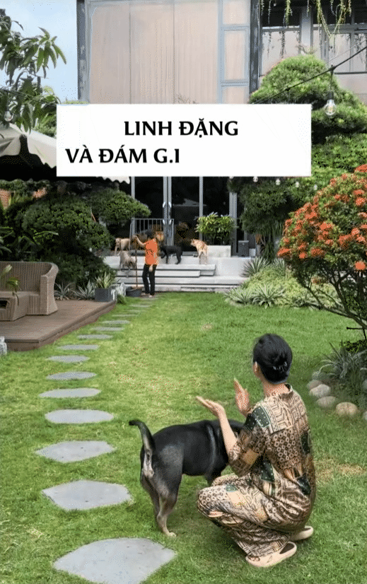 Ph&uacute; b&agrave; n&agrave;y chi 65 triệu mỗi th&aacute;ng để nu&ocirc;i ch&oacute;, khi bị quản l&yacute; chung cư nhắc nhở, c&ocirc; mua lại cả khu để thoải m&aacute;i dắt ch&uacute;ng đi dạo- Ảnh 1.