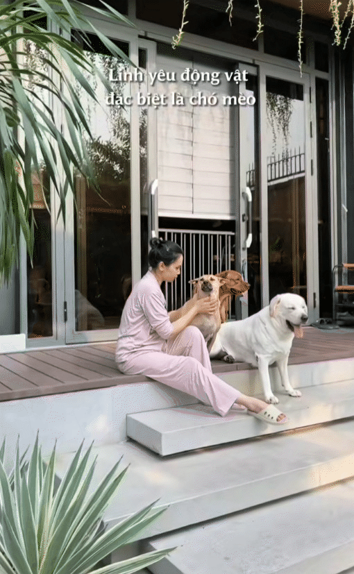 Ph&uacute; b&agrave; n&agrave;y chi 65 triệu mỗi th&aacute;ng để nu&ocirc;i ch&oacute;, khi bị quản l&yacute; chung cư nhắc nhở, c&ocirc; mua lại cả khu để thoải m&aacute;i dắt ch&uacute;ng đi dạo- Ảnh 4.