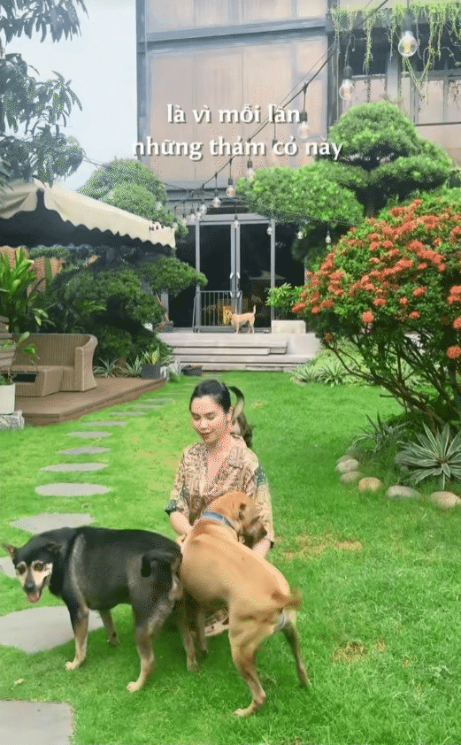 Ph&uacute; b&agrave; n&agrave;y chi 65 triệu mỗi th&aacute;ng để nu&ocirc;i ch&oacute;, khi bị quản l&yacute; chung cư nhắc nhở, c&ocirc; mua lại cả khu để thoải m&aacute;i dắt ch&uacute;ng đi dạo- Ảnh 5.