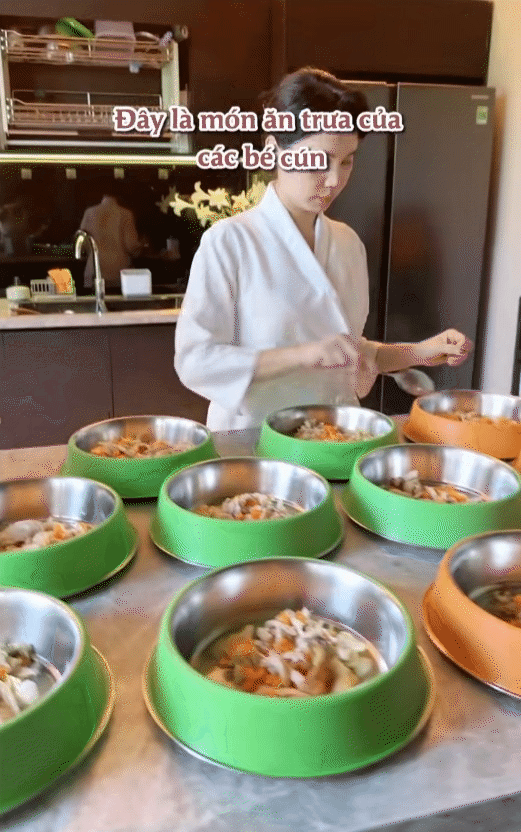 Ph&uacute; b&agrave; n&agrave;y chi 65 triệu mỗi th&aacute;ng để nu&ocirc;i ch&oacute;, khi bị quản l&yacute; chung cư nhắc nhở, c&ocirc; mua lại cả khu để thoải m&aacute;i dắt ch&uacute;ng đi dạo- Ảnh 15.