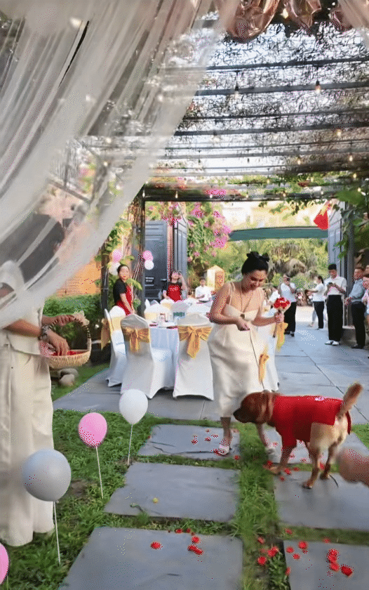 Ph&uacute; b&agrave; n&agrave;y chi 65 triệu mỗi th&aacute;ng để nu&ocirc;i ch&oacute;, khi bị quản l&yacute; chung cư nhắc nhở, c&ocirc; mua lại cả khu để thoải m&aacute;i dắt ch&uacute;ng đi dạo- Ảnh 17.