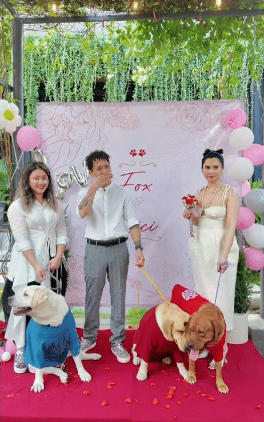 Ph&uacute; b&agrave; n&agrave;y chi 65 triệu mỗi th&aacute;ng để nu&ocirc;i ch&oacute;, khi bị quản l&yacute; chung cư nhắc nhở, c&ocirc; mua lại cả khu để thoải m&aacute;i dắt ch&uacute;ng đi dạo- Ảnh 18.