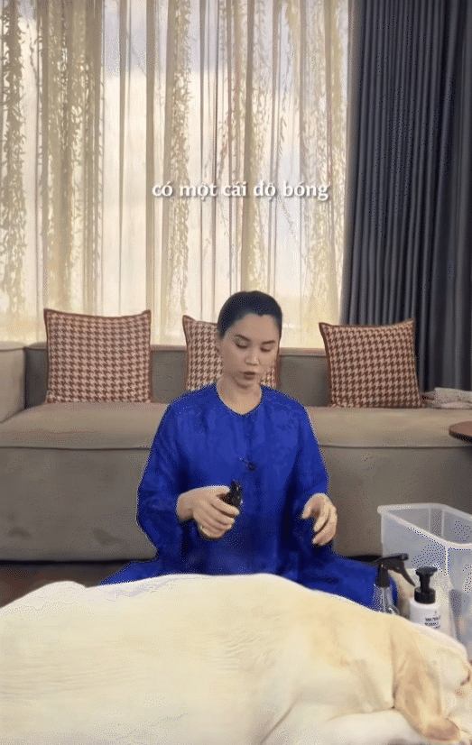 Ph&uacute; b&agrave; n&agrave;y chi 65 triệu mỗi th&aacute;ng để nu&ocirc;i ch&oacute;, khi bị quản l&yacute; chung cư nhắc nhở, c&ocirc; mua lại cả khu để thoải m&aacute;i dắt ch&uacute;ng đi dạo- Ảnh 6.