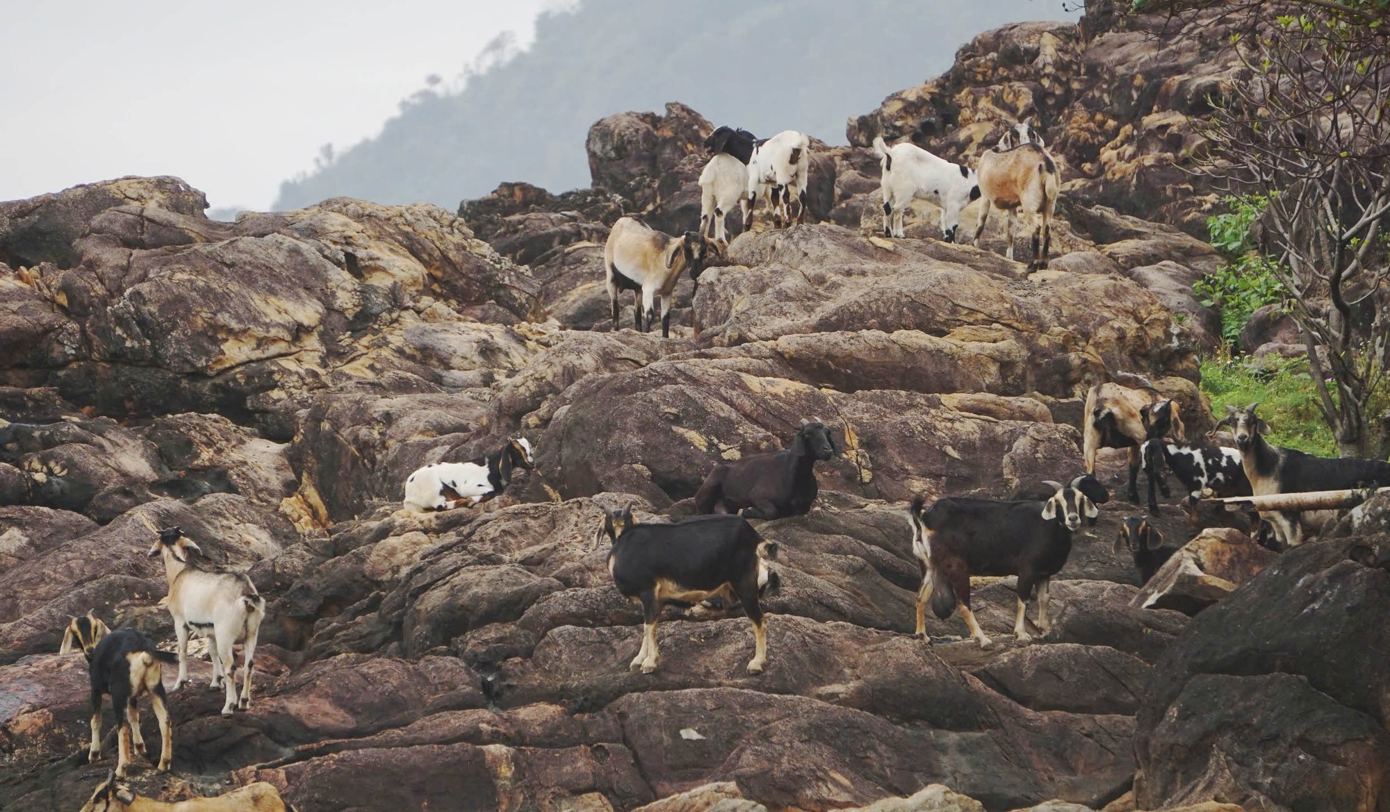 Cận cảnh làng Vân - nơi sắp xây siêu dự án nghỉ dưỡng gần 44.000 tỉ đồng- Ảnh 5. Cận cảnh làng Vân - nơi sắp xây siêu dự án nghỉ dưỡng gần 44.000 tỉ đồng- Ảnh 5.