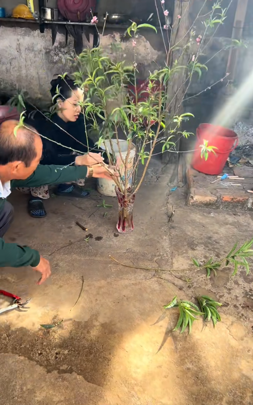 Chuyện con d&acirc;u 9X v&agrave; bố chồng U70 ở Gia Lai g&acirc;y sốt mạng- Ảnh 6.