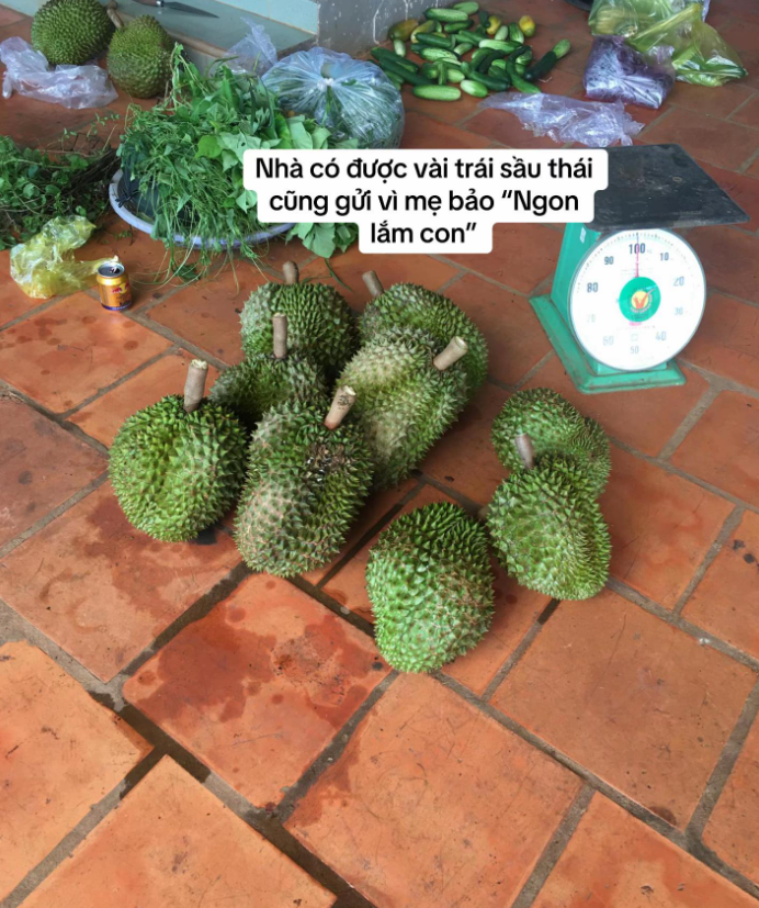 Chuyện con d&acirc;u 9X v&agrave; bố chồng U70 ở Gia Lai g&acirc;y sốt mạng- Ảnh 5.