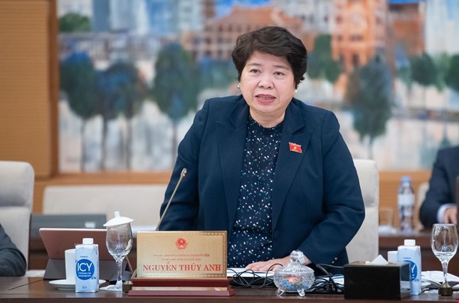 Miễn nhiệm ủy viên Quốc hội với bà nguyễn thúy Anh chuyển sang nhiệm vụ mới - Ảnh 1.