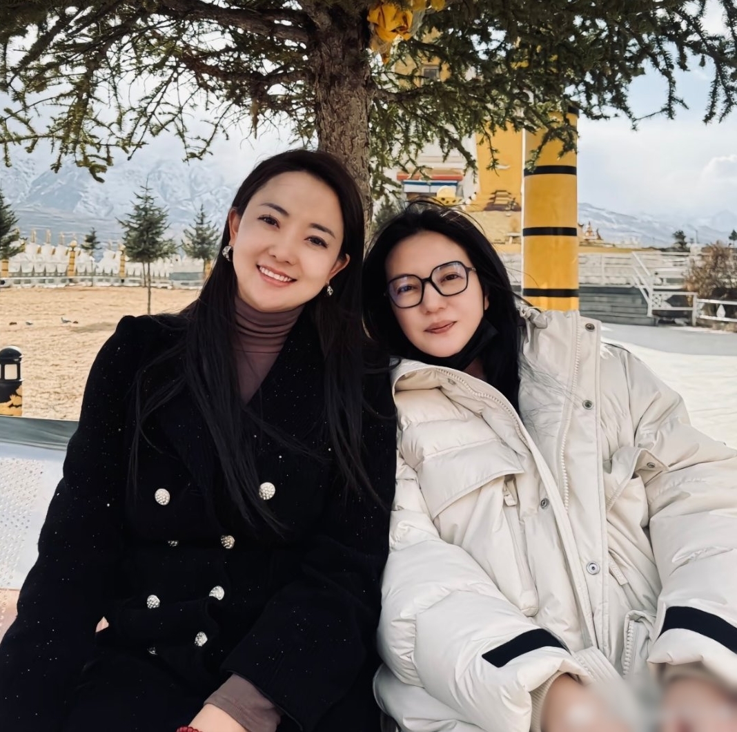 Nhan sắc g&acirc;y sốc của Triệu Vy - Ảnh 2.