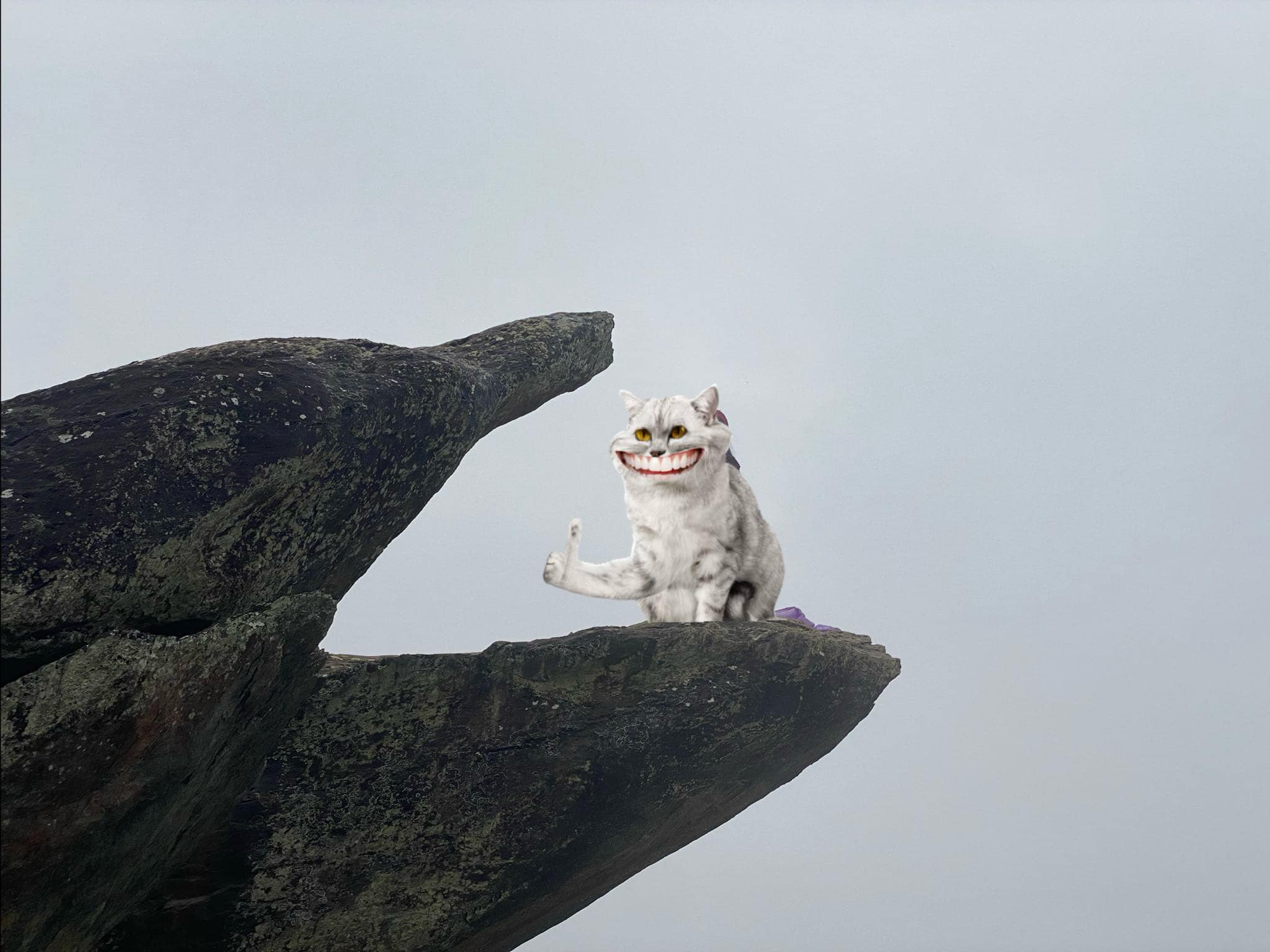 C&ocirc; g&aacute;i 24 tuổi tiết kiệm v&agrave; quản l&yacute; chi ti&ecirc;u c&aacute; nh&acirc;n hiệu quả với lương 9 triệu - Ảnh 4.