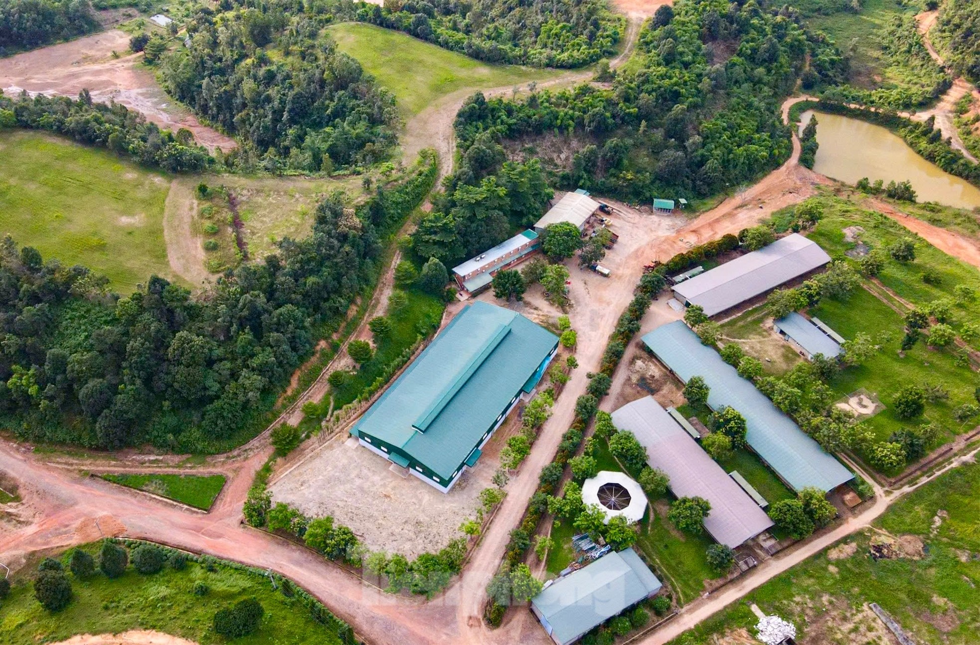 Khám phá dự án Trường đua ngựa , đua chó Thiên Mã Madagui hơn 1 . 550 Tỷ - Ảnh 4.