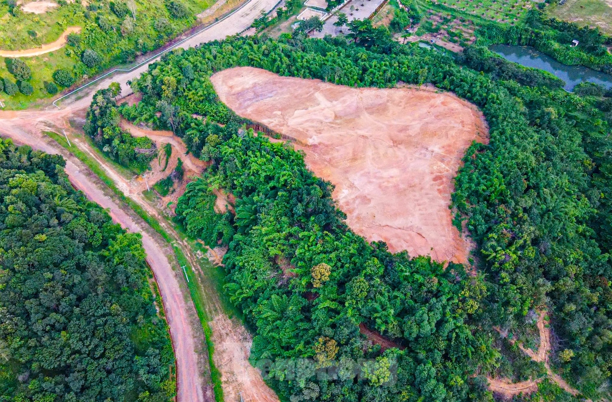 Khám phá dự án Trường đua ngựa , đua chó Thiên Mã Madagui hơn 1 . 550 Tỷ - Ảnh 5.