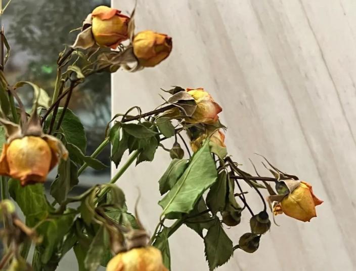 Người kh&ocirc;n KH&Ocirc;NG đặt 8 thứ n&agrave;y ở ban c&ocirc;ng, tr&aacute;nh nguy hiểm r&igrave;nh rập- Ảnh 4.