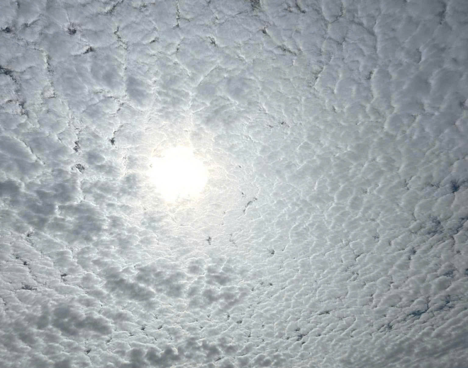 Hình ảnh đám mây lạ trên bầu trời Bình Dương sáng 25 - 2 khiến nhiều người tò mò - Ảnh 2. Hình ảnh đám mây lạ trên bầu trời Bình Dương sáng 25 - 2 khiến nhiều người tò mò - Ảnh 2.