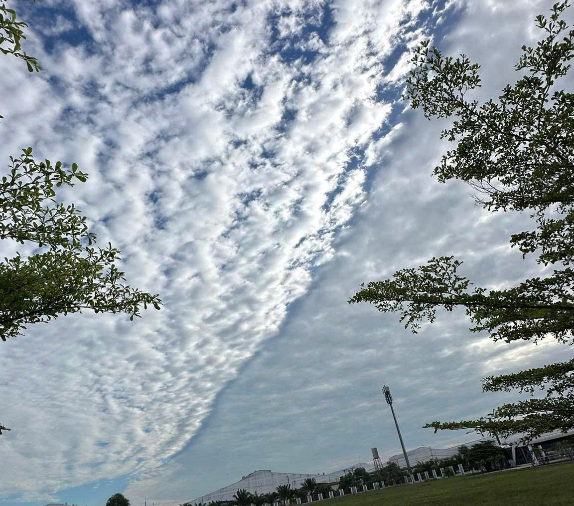 Hình ảnh đám mây lạ trên bầu trời Bình Dương sáng 25 - 2 khiến nhiều người tò mò - Ảnh 4. Hình ảnh đám mây lạ trên bầu trời Bình Dương sáng 25 - 2 khiến nhiều người tò mò - Ảnh 4.