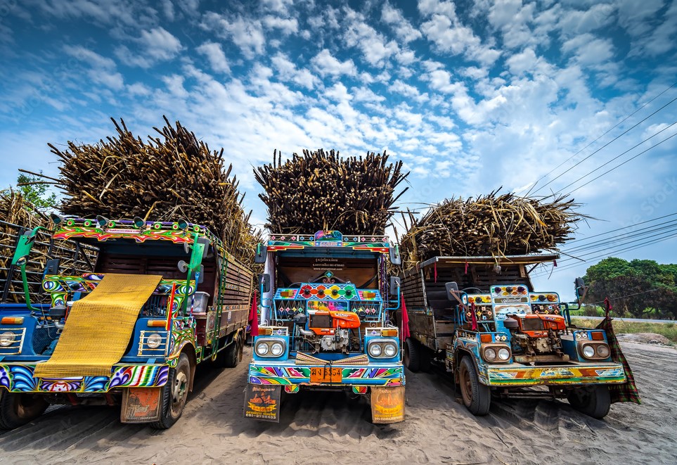 Trung Quốc "b&oacute;p" nhập khẩu, 19 l&ocirc; h&agrave;ng Th&aacute;i Lan bị từ chối: Bất ngờ với con số của nước vi phạm h&agrave;ng đầu - Ảnh 2.