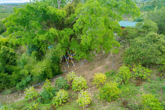 Toàn cảnh khu tu tập đắc đạo thành tiên Lừa đảo lớn - Ảnh 8.