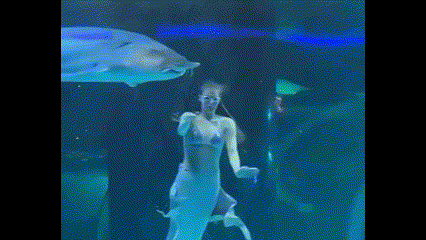 Kinh ho&agrave;ng "n&agrave;ng ti&ecirc;n c&aacute;" bị c&aacute; tầm khổng lồ tấn c&ocirc;ng - Ảnh 1.