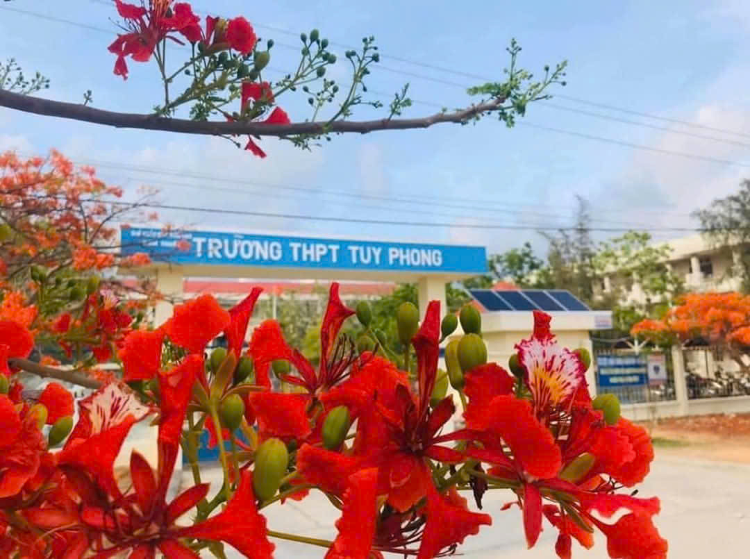 Làm rõ vụ thầy giáo Trường THPT Tuy Phong bị tố quan hệ với nữ sinh - Ảnh 1. Làm rõ vụ thầy giáo Trường THPT Tuy Phong bị tố quan hệ với nữ sinh - Ảnh 1.