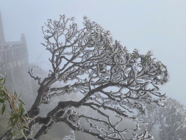 Không khí lạnh cực mạnh gây rét dưới 2 độ vào cuối tuần - Ảnh 1.