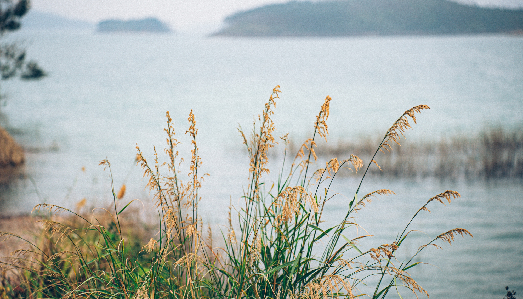 Hồ Y&ecirc;n Lập: Kho b&aacute;u than Quảng Ninh v&agrave; kỳ quan nh&acirc;n tạo lớn nhất - Ảnh 11.