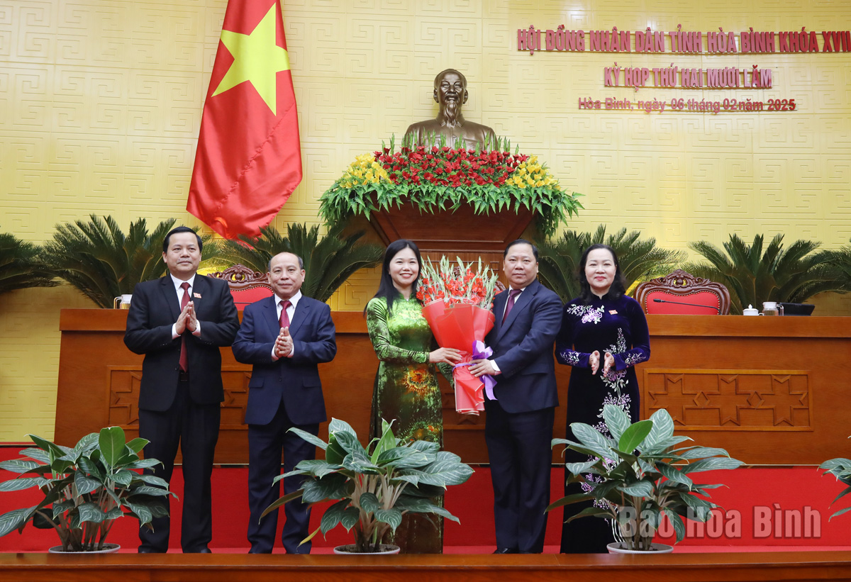 Nữ Phó Bí thư Bùi Thị Minh giữ chức Chủ tịch HĐND tỉnh hòa bình - Ảnh 1.