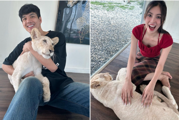 Hoa hậu Tiểu Vy lần đầu l&ecirc;n tiếng th&ocirc;ng tin hẹn h&ograve; mỹ nam Th&aacute;i Lan- Ảnh 1.