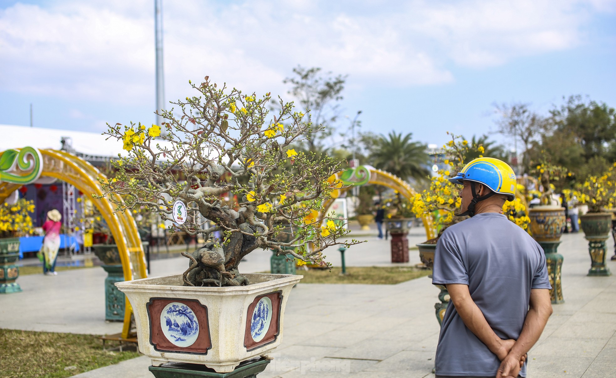 Lễ hội mai vàng An Nhơn rực rỡ: Khám phá những tác phẩm mai siêu khủng đẹp mắt - Ảnh 4.