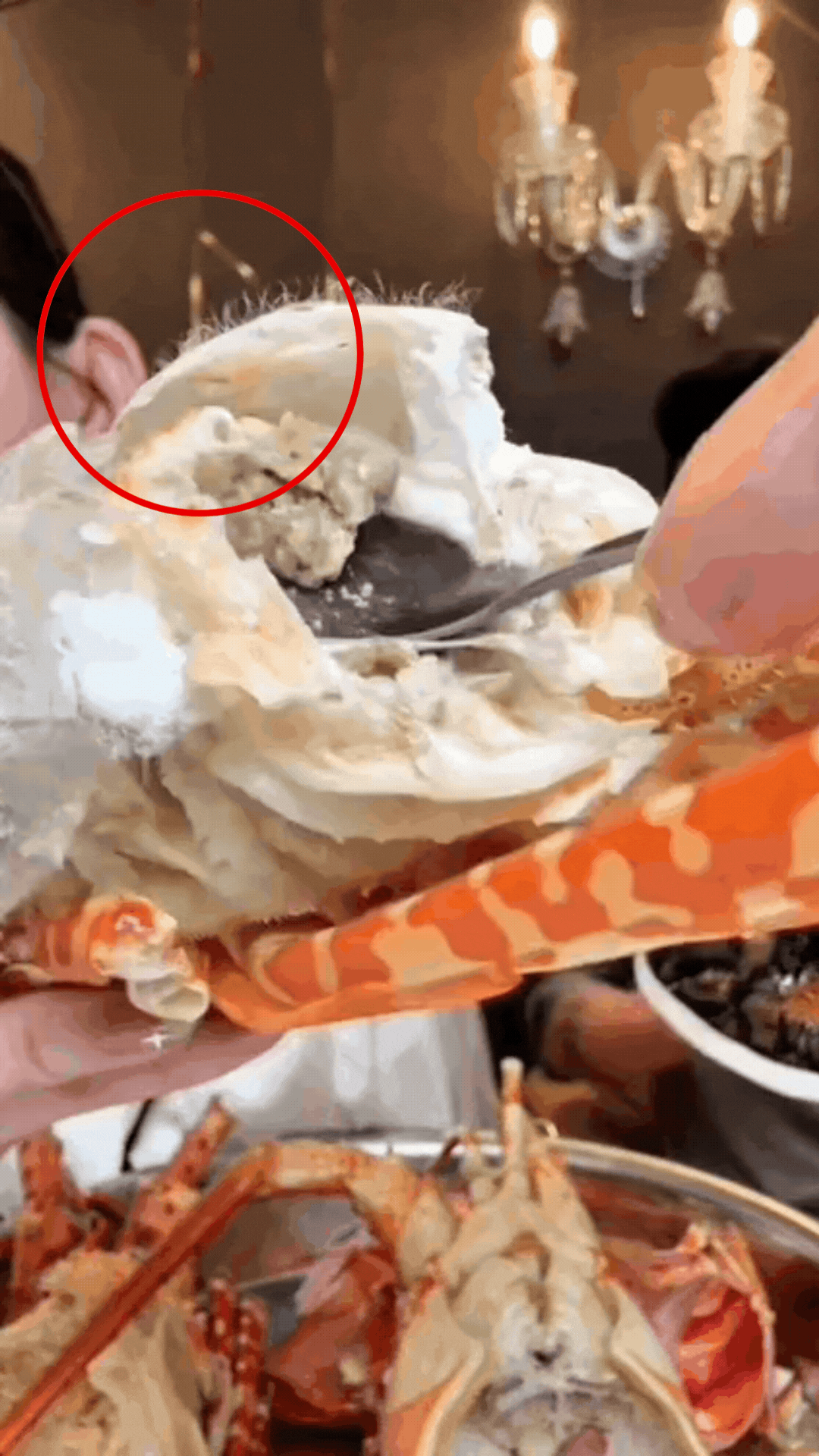 Kinh hoàng sao nữ Vbiz mukbang đồ ăn có sán nhưng nuốt trọn không nhận ra- Ảnh 2. Kinh hoàng sao nữ Vbiz mukbang đồ ăn có sán nhưng nuốt trọn không nhận ra- Ảnh 2.