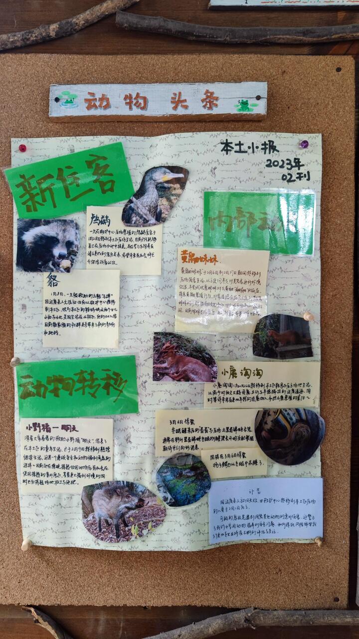 Cáo phó hà mã Fei Fei qua đời gây xúc động cư dân mạng - Ảnh 2.