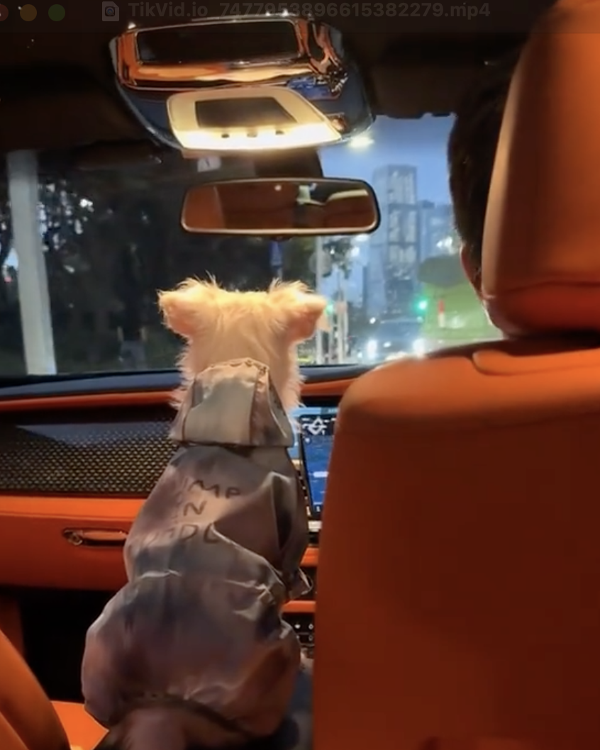 Đi lang thang gặp chủ tịch đi Rolls Royce, chỉ 35 giây đủ chứng minh "nghèo thì lâu chứ giàu thì mấy chốc" - Ảnh 3.