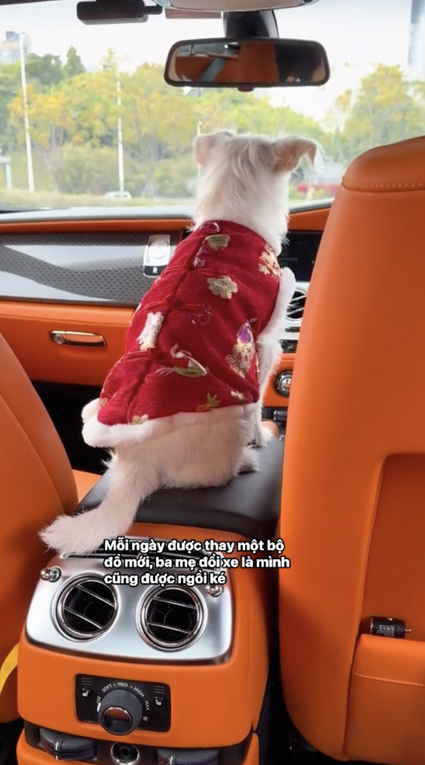 Đi lang thang gặp chủ tịch đi Rolls Royce, chỉ 35 giây đủ chứng minh "nghèo thì lâu chứ giàu thì mấy chốc" - Ảnh 5.